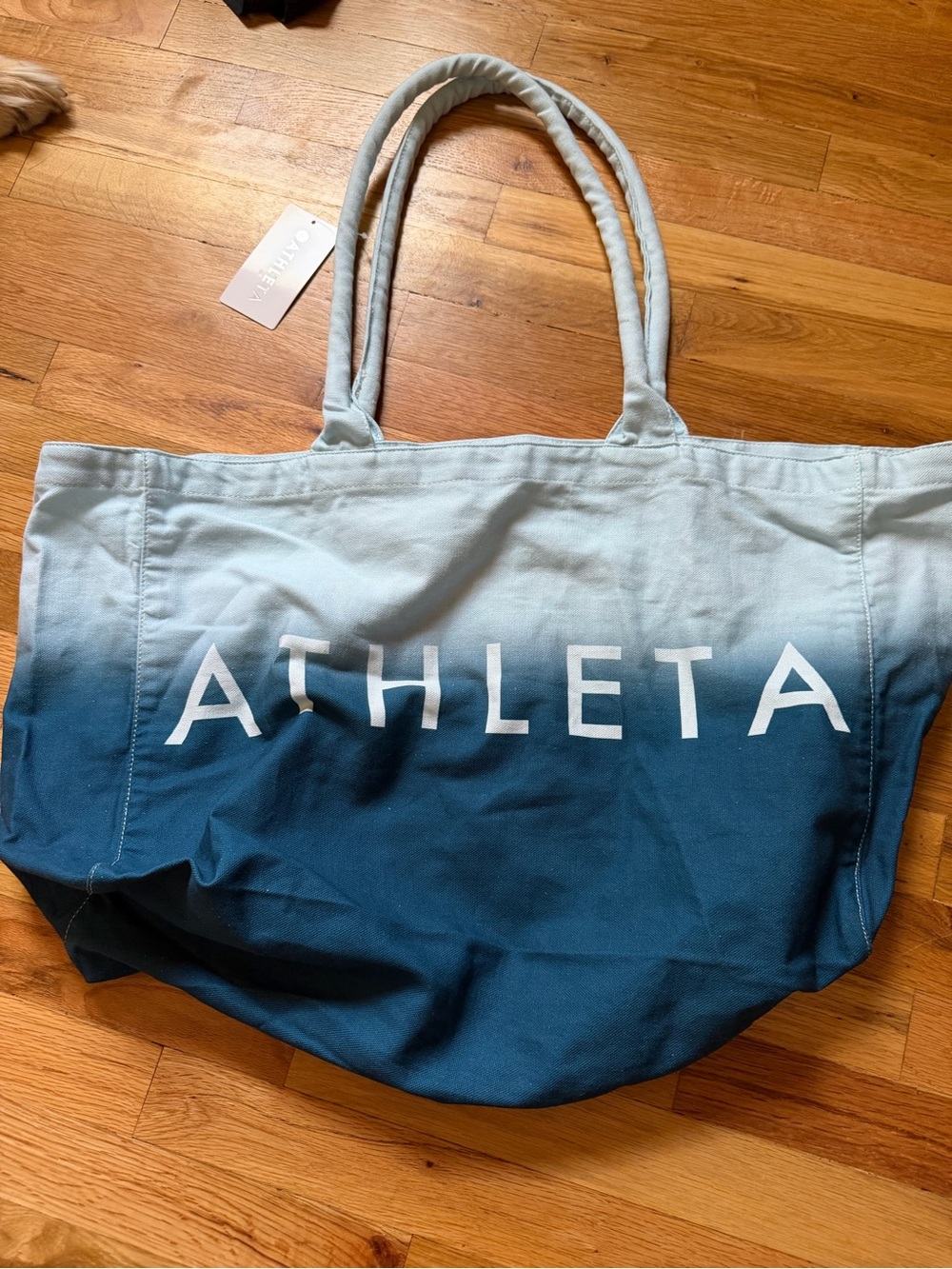 Athleta Ombre Teal-to-Light Blue Canvas Tote